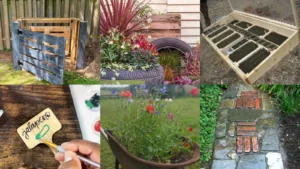 18+ Genius Allotment Ideas Inspiration That Transform Gardens