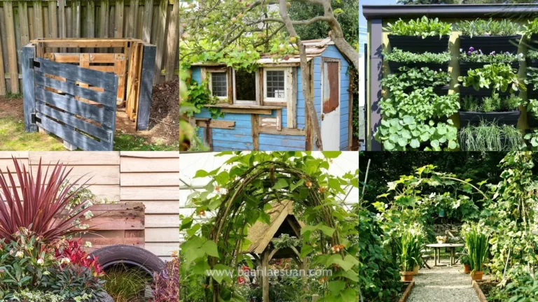 18+ Genius Allotment Ideas Inspiration That Transform Gardens