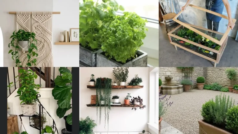 19+ Genius Indoor Garden Ideas That Transform Any Room
