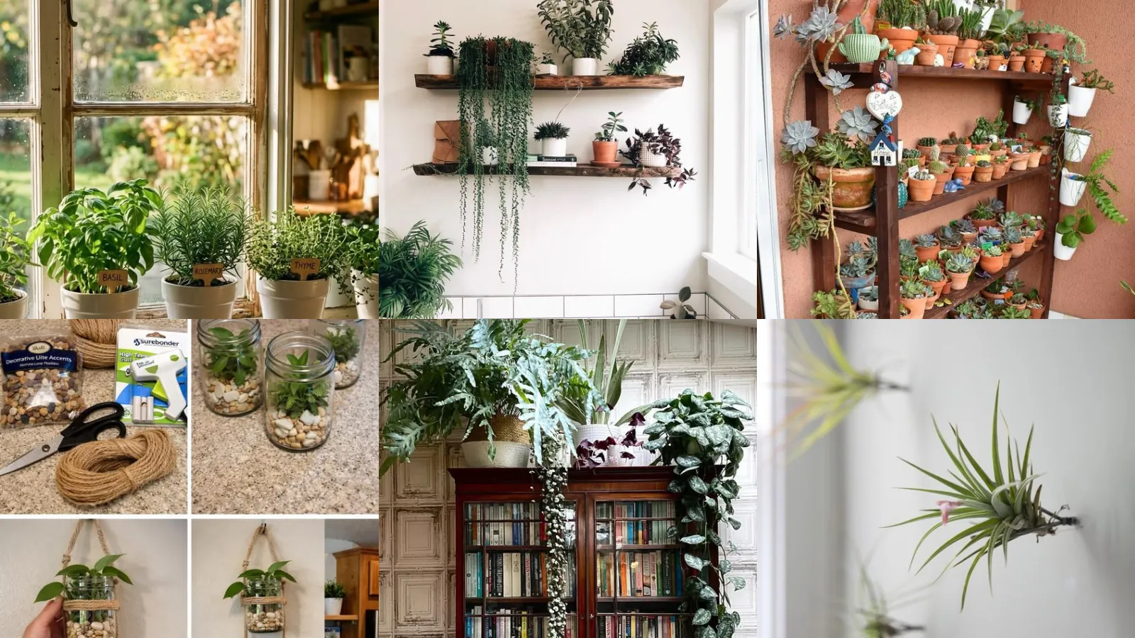 14+ Genius Indoor Gardening Ideas That Transform Any Space